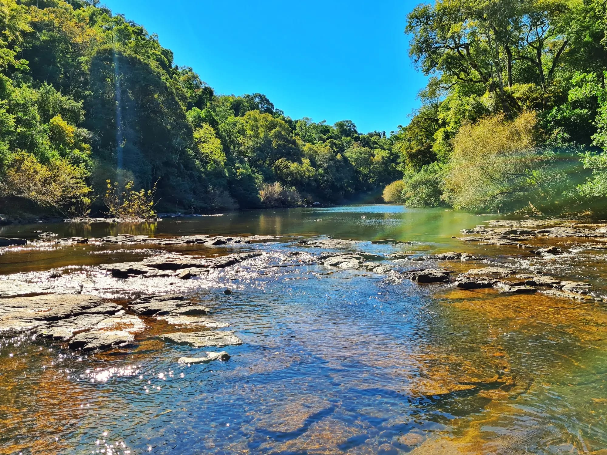 Arroyo Piray Miní rodeado de selva misionera