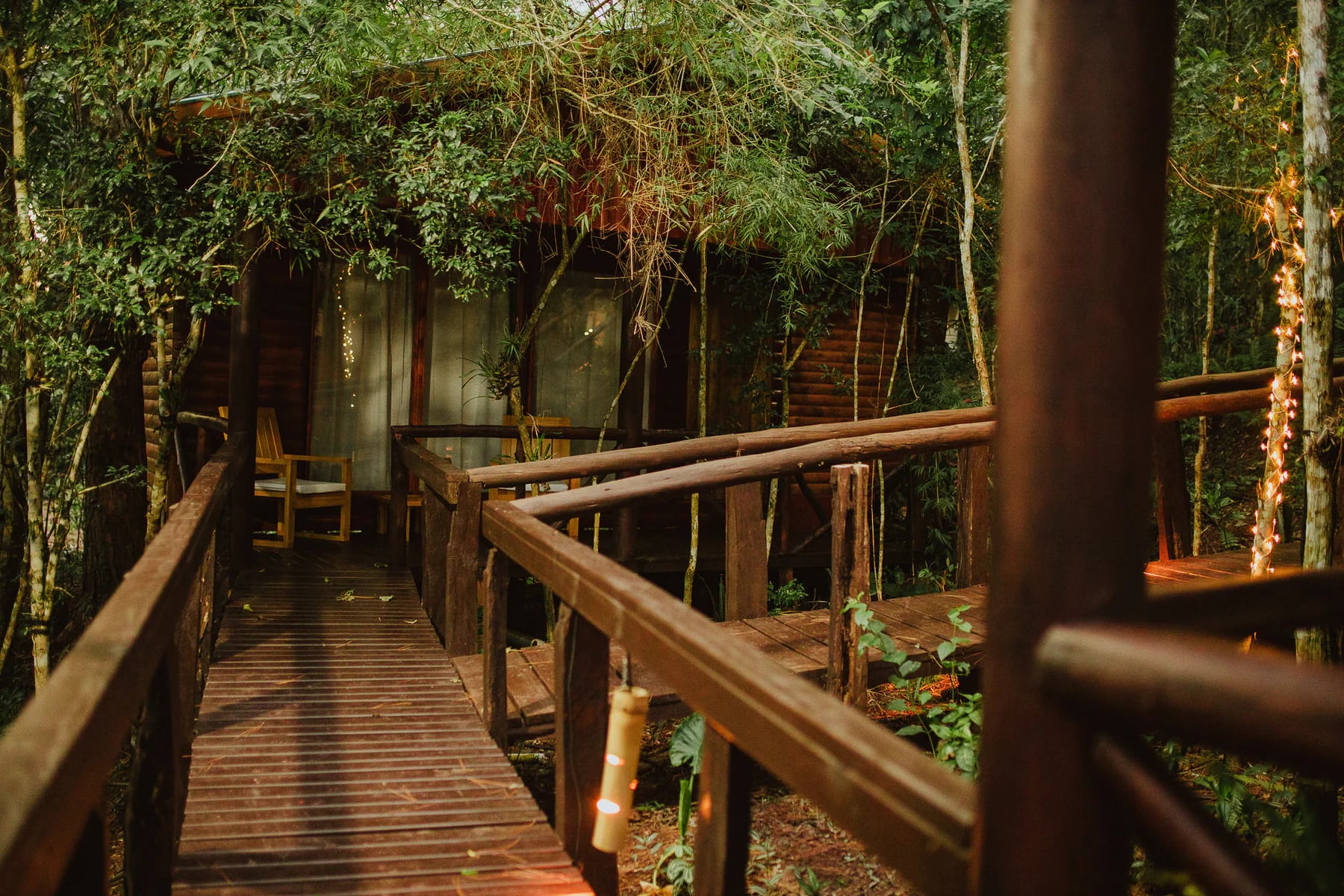 Sendero de madera entre la vegetación de Complejo Ysyry